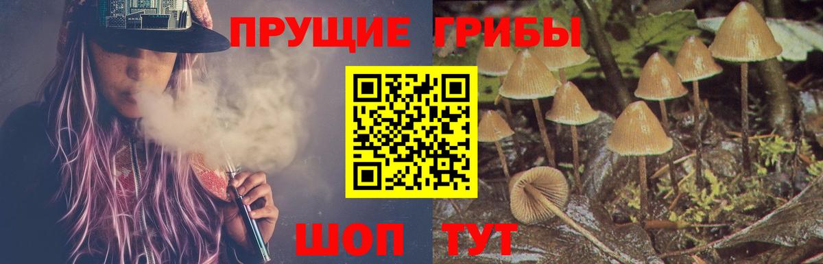 Галлюциногенные грибы Psilocybe  цены   Алейск  Галлюциногенные грибы Magic Shrooms  Вход с VPN 